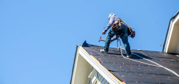 Best Storm Damage Roof Repair  in Highland Heights, KY